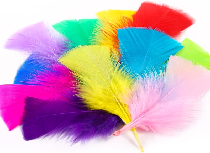 Soarer Colorful Craft Turkey Feathers - 300pcs 3-5inch Colored Feathers for Kindergarten DIY Crafts,Wedding Home Party Decorations,Dream Catcher Supplies(Turkey Colorful) - Image 2
